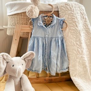 First Impressions Baby Girl Embroidered Dress 18-24M